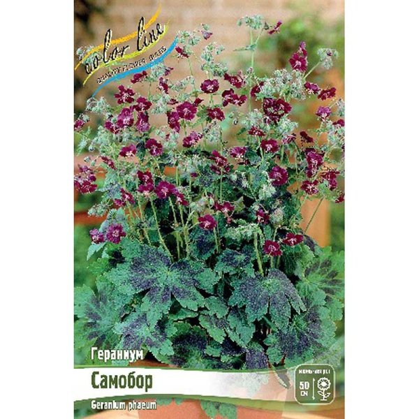 Гераниум Самобор I 1 шт