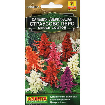 Сальвия Страусово перо Аэлита Ц х10 