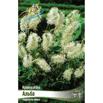 Кровохлёбка Альба I 1 шт