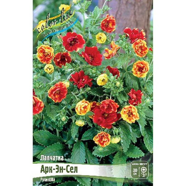 Лапчатка Арк-Эн-Сел I 25 шт Биг-Пак 2499