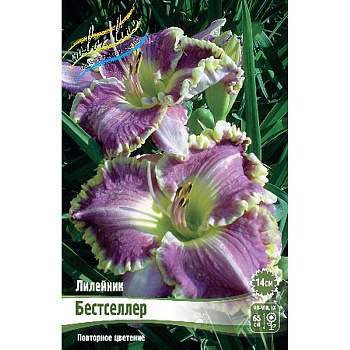 Лилейник Бестселлер I 25 шт Биг-пак 3730 