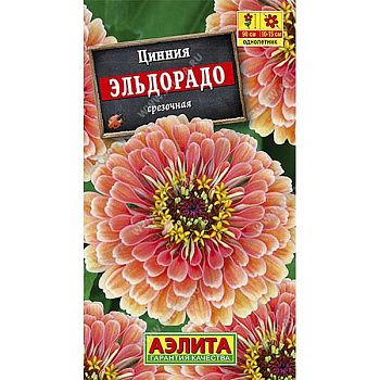 Циния Эльдорадо Аэлита Ц х10 