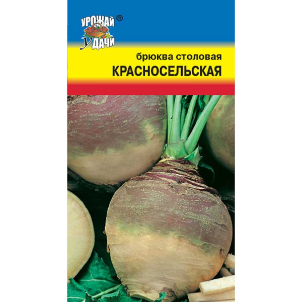Брюква Красносельская Урожай у дачи Ц