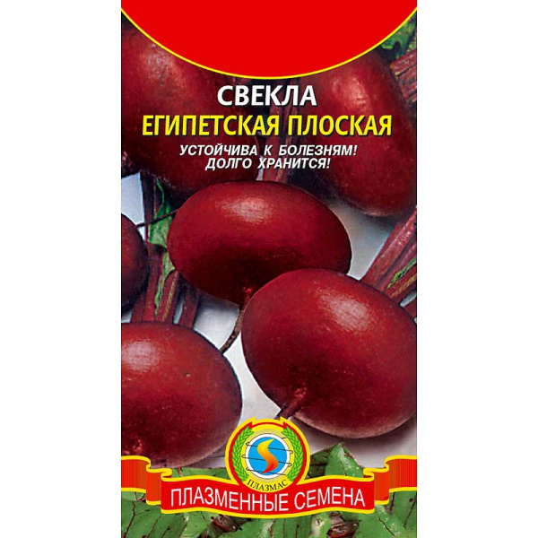 Свекла Египетская плоская Плазма Ц