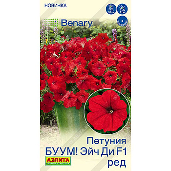 Петуния БУУМ Эйч Ди Ред многоцветковая Аэлита Цх10 