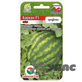 Арбуз Бархан СибСад Ц