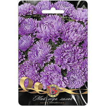 Астра Май Леди Лилак Биотехника Ц 