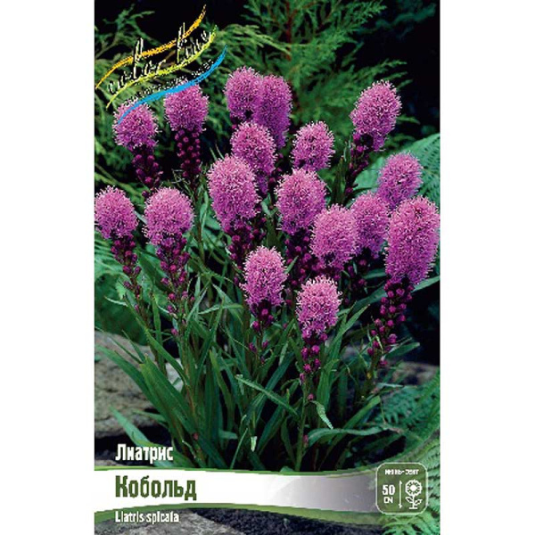 8477 Биг-Пак Лиатрис Кобольд 10/12 50 шт