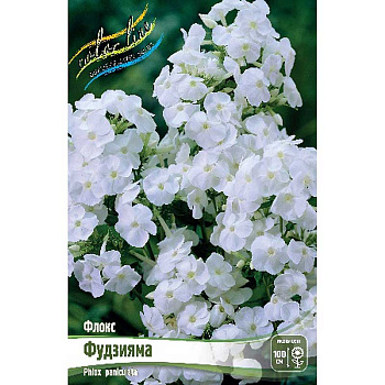 8076 Биг-Пак Флокс Фудзияма I 25 шт