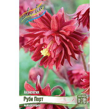 Аквилегия Руби Порт I 25 шт Биг-Пак 8286