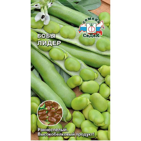 Бобы Лидер  Седек Б