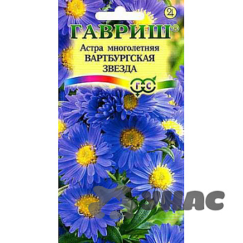 Астра Вартбургская звезда многол. Гавриш Ц 