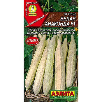 Огурец Белая анаконда Аэлита Ц