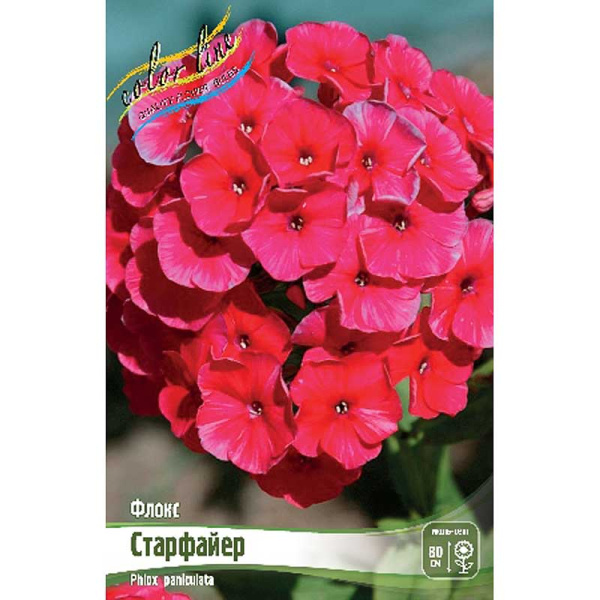 Флокс Старфайер I 2 шт