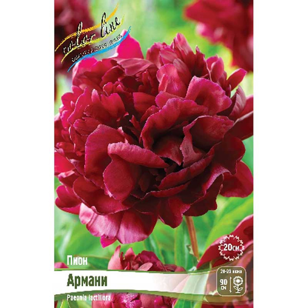 Пион Армани 3/5 n 15 шт Биг-Пак 10852 