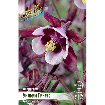 Аквилегия Уильям Гинесс I 3 шт
