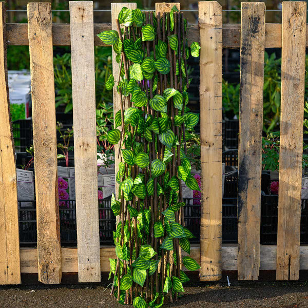 Раздвижная изгородь NA2654 большой лист 120*250 см (30)