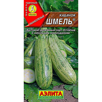 Кабачок Шмель цукини Аэлита Ц