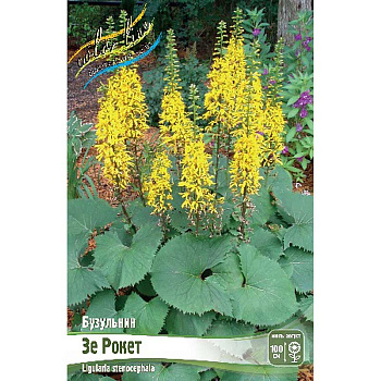 8333 Биг-Пак Бузульник Зе Рокет I 25 шт