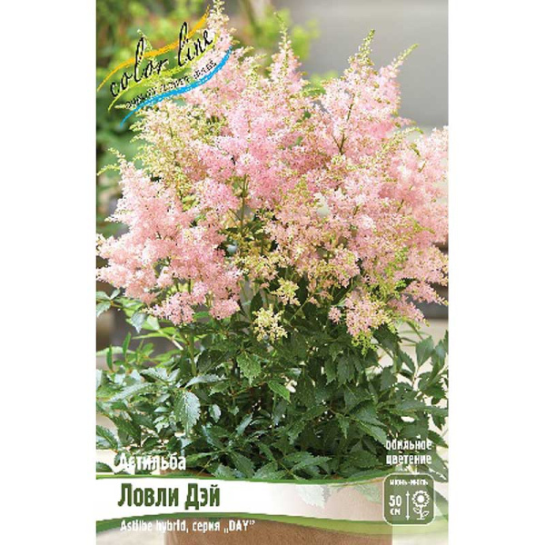 Астильба Ловли Дэй 2/3 n 25 шт Биг-пак 13377
