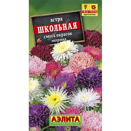Астра Школьная смесь Аэлита Ц 