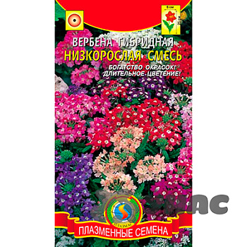 Вербена гибрид. низкорос. смесь Плазма Ц 