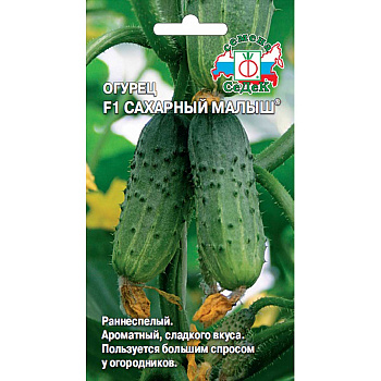 Огурец Сахарный малыш Седек Ц