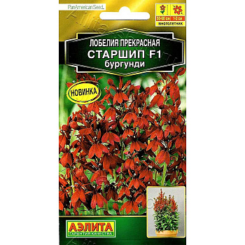 Лобелия Старшип бургунди Аэлита Ц 