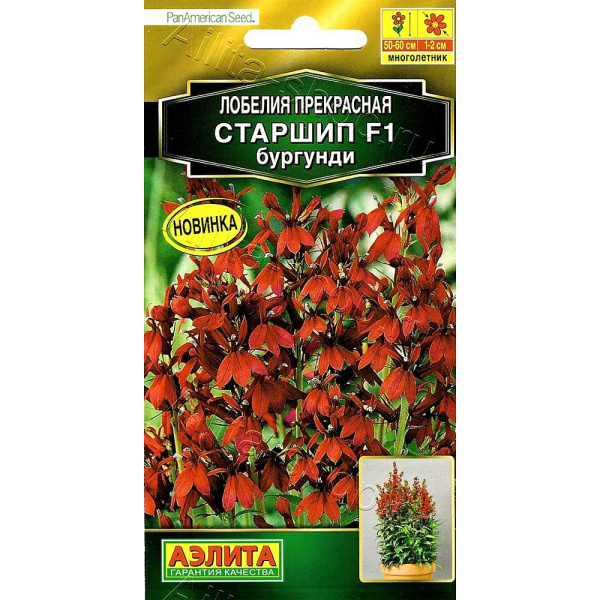 Лобелия Старшип бургунди Аэлита Ц 
