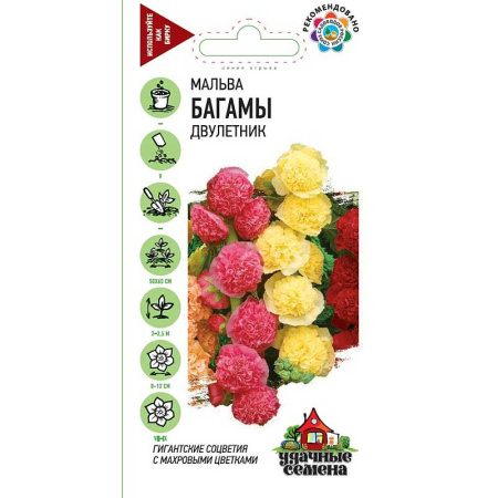 Мальва Багамы Удачные семена Гавриш Ц 