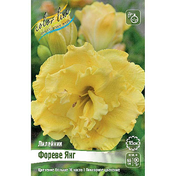 Лилейник Фореве Янг I 25 шт Биг-пак 7868