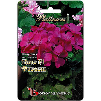 КОМ Пеларгония Нано Виолет карликов Биотехника Ц 