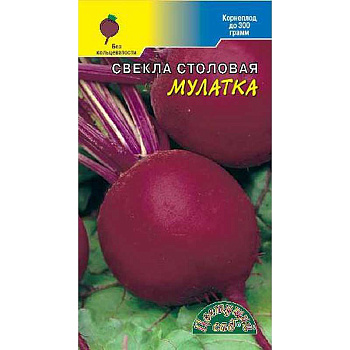 Свекла Мулатка ЦветСад Ц