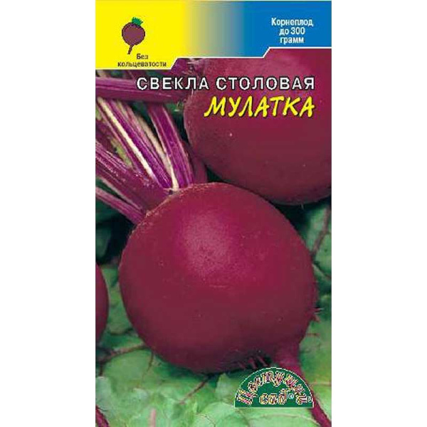 Свекла Мулатка ЦветСад Ц