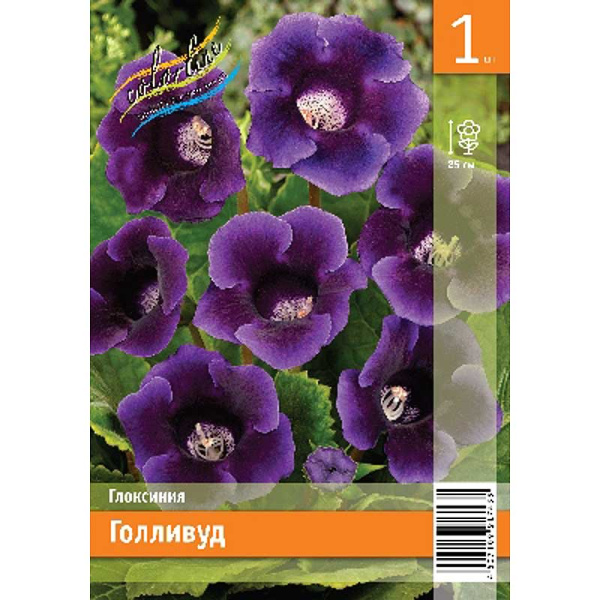 Глоксиния Голливуд 5/6 1 Эконом шт 