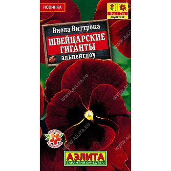 Виола Швейцарские гиганты альпенглоу Аэлита Цх10 