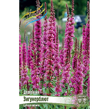 8526 Биг-Пак Дербенник Иволистный Зигунерблют I 25 шт