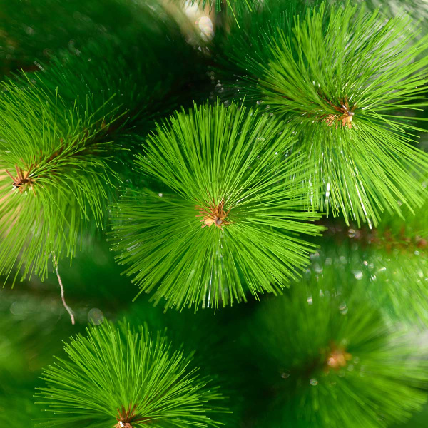 Елка HJ120-43 2-хцветная 120см 100веток мет.подст.х4