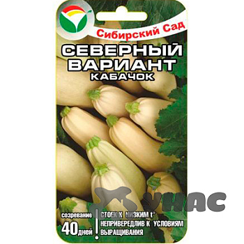 Кабачок Северный вариант СибСад Ц