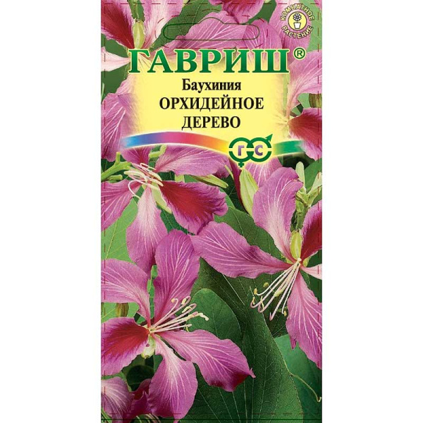 КОМ Баухиния Орхидейное дерево Гавриш Ц 