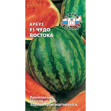 Арбуз Чудо Востока Седек Ц