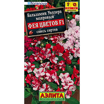 Бальзамин Фея цветов махр. Аэлита Ц 