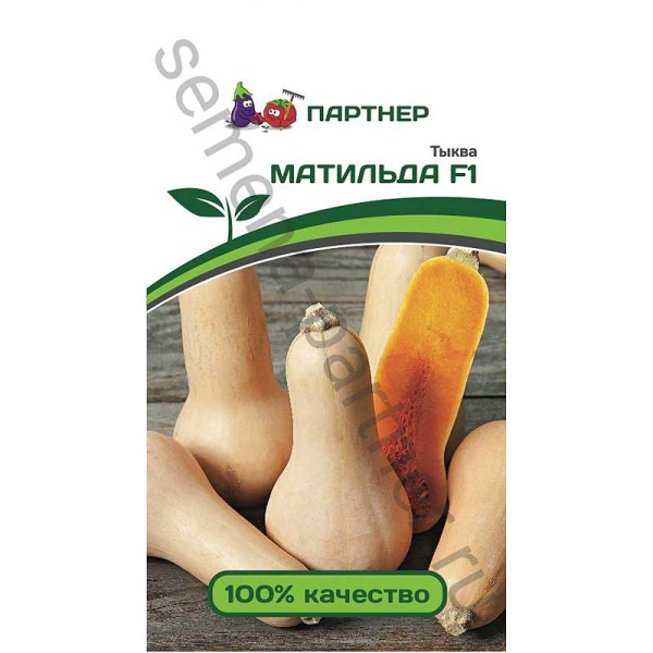 Тыква Матильда Партнер Ц