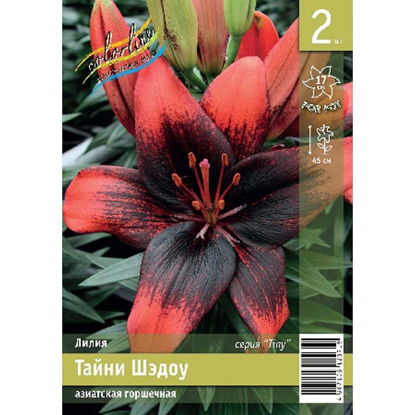 Лилия Тайни Шэдоу 10/12 2 Эконом шт 
