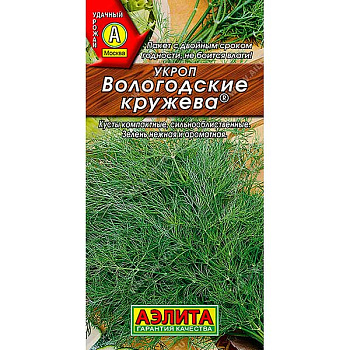 Укроп Вологодские кружева Аэлита Ц