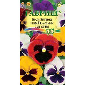 Виола Виттрока Швейцарские гиганты Гавриш Ц 