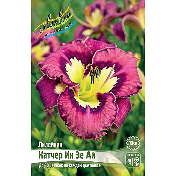 Лилейник Катчер Ин Зе Ай I 25 шт Биг-Пак 8472