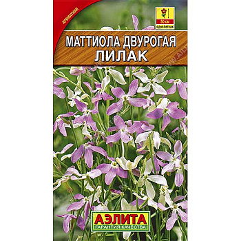 Маттиола Лилак Аэлита Ц 