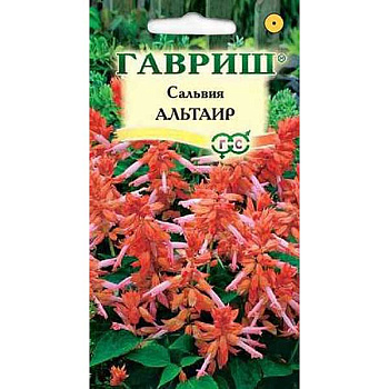 Сальвия Альтаир карлик Гавриш Ц 