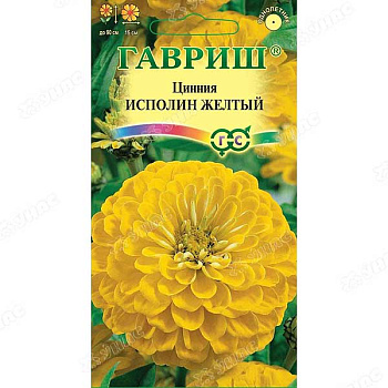Циния Исполин желтый Гавриш Ц 